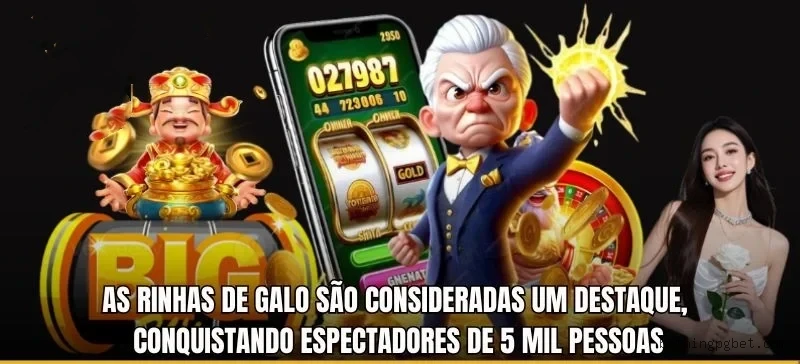 Bathingpg Provedores Premium